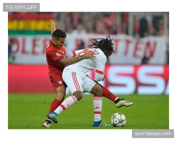 本菲卡赛季表现稳健，争冠竞争力持续提升