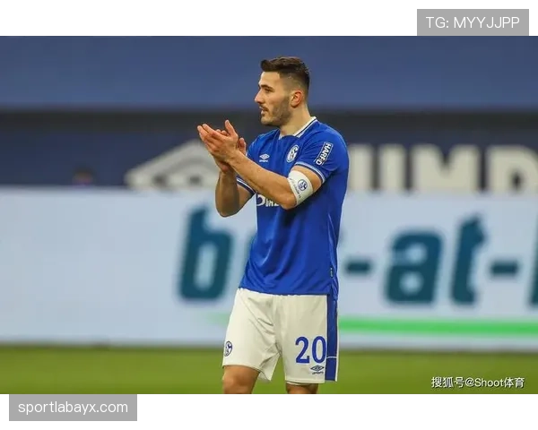 沙尔克强势回暖，数据揭示球队复苏关键因素