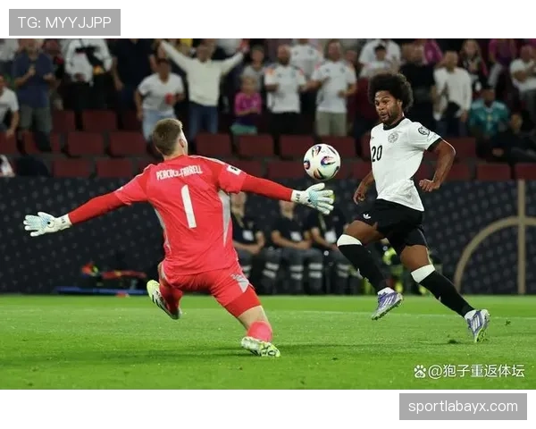 格纳布里世界杯表现